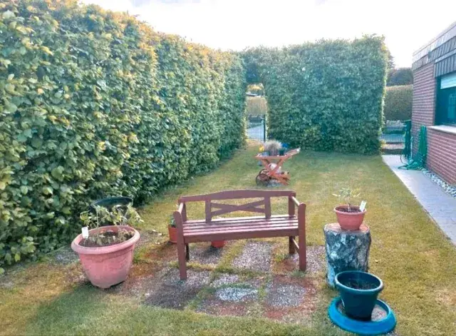 Gartenecke mit Bank, umrahmt von hohen Hecken