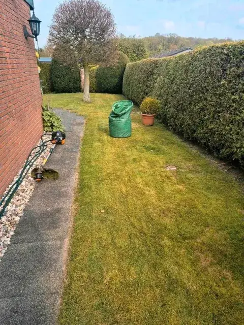Gepflegter Garten mit Rasen und Hecke